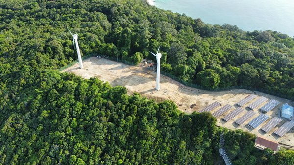 Quels sont les meilleurs itinéraires pour une randonnée en forêt tropicale en Malaisie?